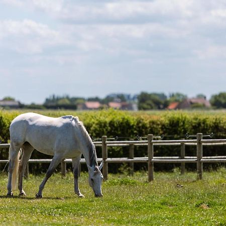 Logis Esprit - A Peaceful Holiday Home With Private Garden At "Houtheem" Farm Veurne Exterior photo