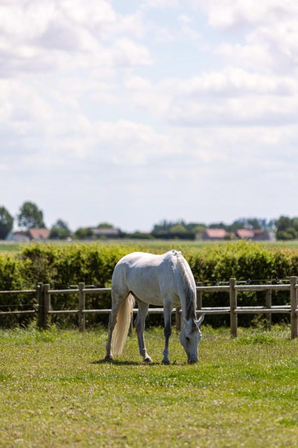 Logis Esprit - A Peaceful Holiday Home With Private Garden At "Houtheem" Farm Veurne Exterior photo