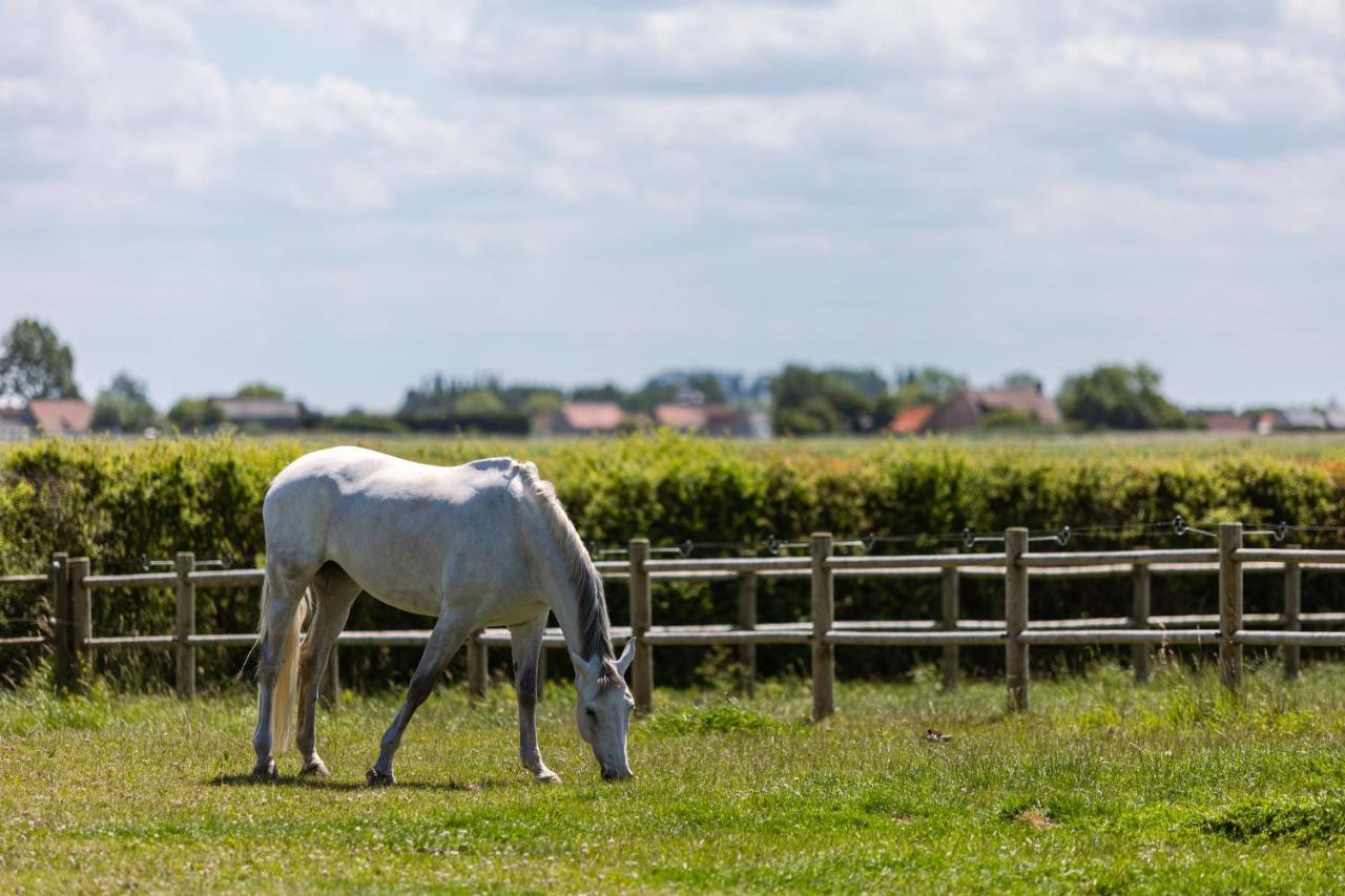 Logis Esprit - A Peaceful Holiday Home With Private Garden At "Houtheem" Farm Veurne Exterior photo